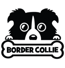 Наклейка «Border Collie»