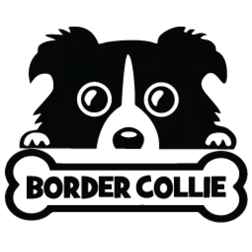 Наклейка «Border Collie»