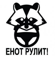 Наклейка «Енот рулит»