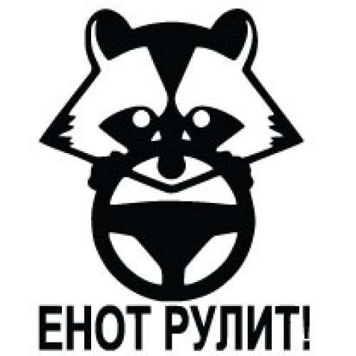 Наклейка «Енот рулит»