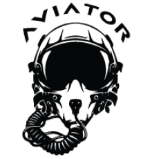 Наклейка «Aviator»