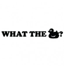 Наклейка «What the duck?»