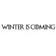 Наклейка «Winter is coming»