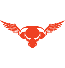 Наклейка «DJ Wings»