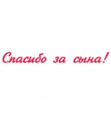 Наклейка «Дякую за сина»