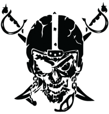 Наклейка «Skull WS»
