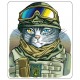 Наклейка «Котик Захисник»