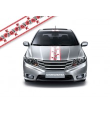 Автовишиванка Смужки U_16