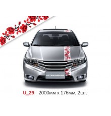 Автовишиванка Смужки U_29