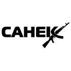 Наклейка «Санек»
