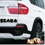 Наклейка «Белка»