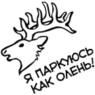 Наклейка «Паркуюсь как олень»