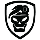 Наклейка «COD Black Ops»