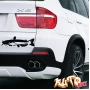 Наклейка «Сом v4»