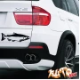 Наклейка «Чавыча v2»