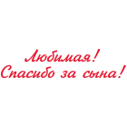 Наклейка «Любимая! Спасибо за сына!»