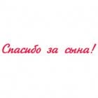Наклейка «Спасибо за сына»