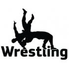 Наклейка «Wrestling Борьба»