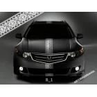 Автовышиванка Полоски B_01