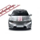Автовышиванка Полоски U_16