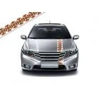 Автовышиванка Полоски U_20