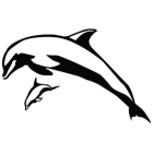 Наклейка «Дельфины v2»