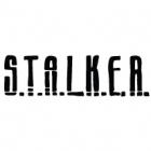 Наклейка «Stalker»